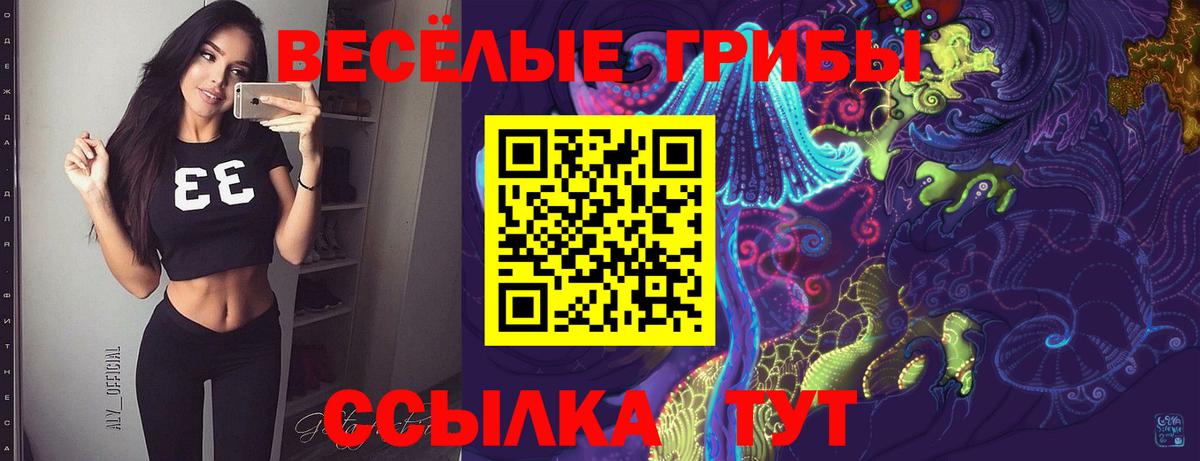 Галлюциногенные грибы Cubensis Киров